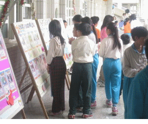 95年度模範兒童照片公佈了_照片大圖