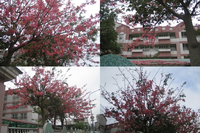 親職教育照片大圖