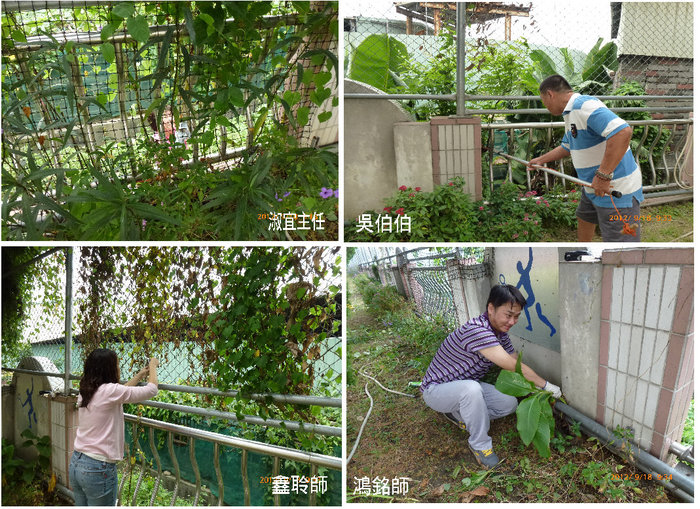 蝶天堂照片大圖